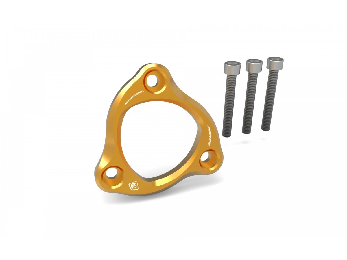 SM01 - Ducati | GOLD | FEDERHALTER | SPRING RETAINER | passend für diverse Ducati - Modelle